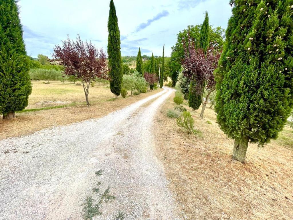 Umbrian Hills Flat - Free Parking & Garden Leilighet Perugia Eksteriør bilde